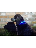 Iluminačný obojok na psíka, modrý - S/M (31/41cm)